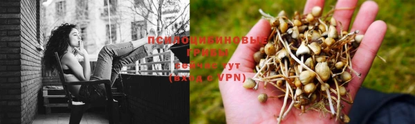 прущая мука Беломорск