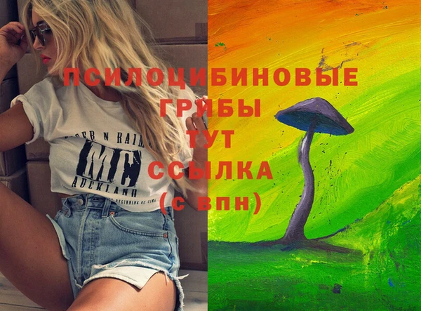 соль курить ск Белокуриха