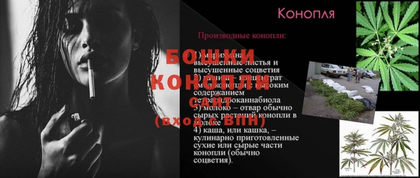 соль курить ск Белокуриха