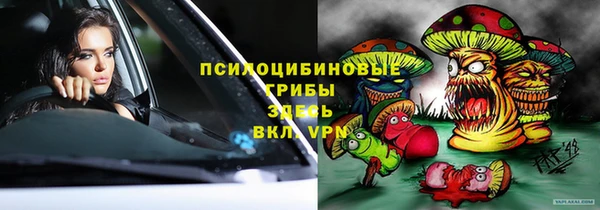 соль курить ск Белокуриха